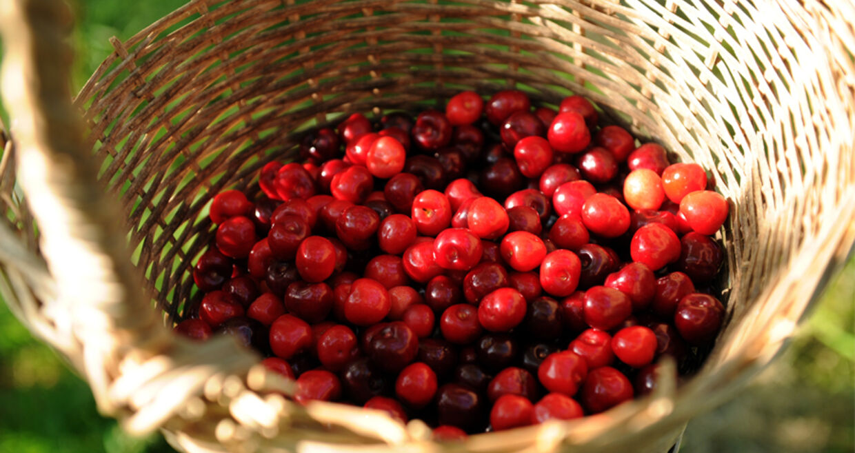 10 alimentos que ajudam a manter o peso
