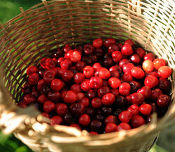 10 alimentos que ajudam a manter o peso