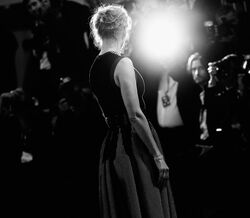 Festival de Cinema de Veneza 2014