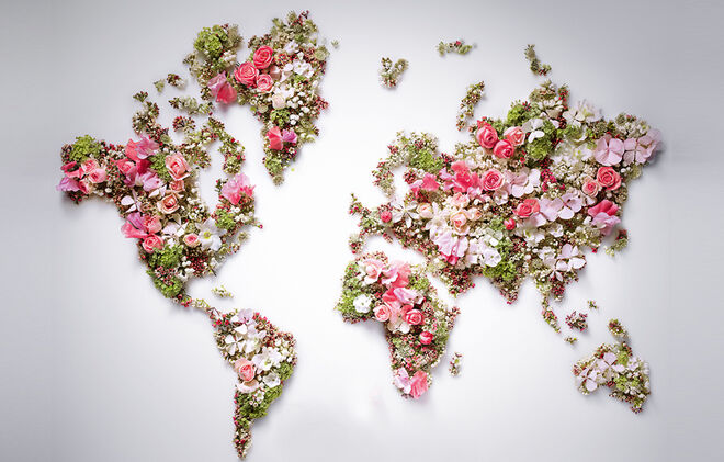 Volta ao mundo floral