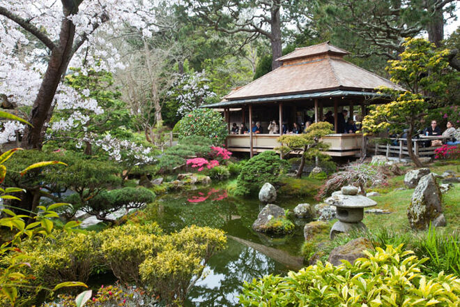 Rir é o melhor cosmético