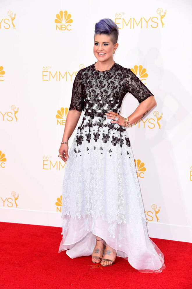 Emmy Awards 2014
