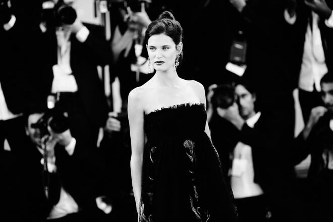 Festival de Cinema de Veneza 2014