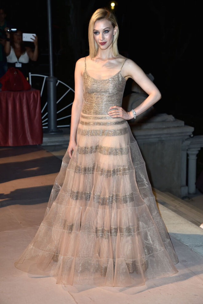 Festival de Cinema de Veneza 2014