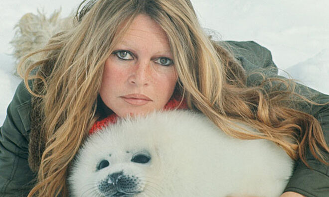 80 anos de Brigitte Bardot