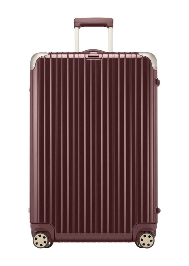 A companheira de viagem das celebridades