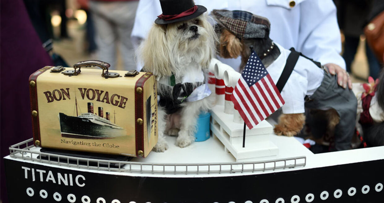 Tompkins Square Halloween Dog Parade 2014