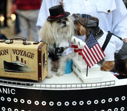 Tompkins Square Halloween Dog Parade 2014