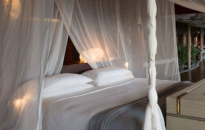 A lua de mel de Mr. e Mrs. Clooney