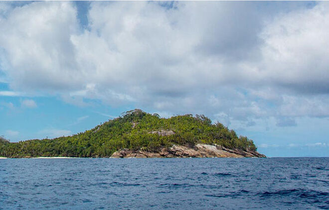 A lua de mel de Mr. e Mrs. Clooney