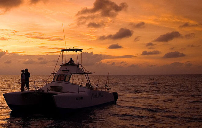 A lua de mel de Mr. e Mrs. Clooney