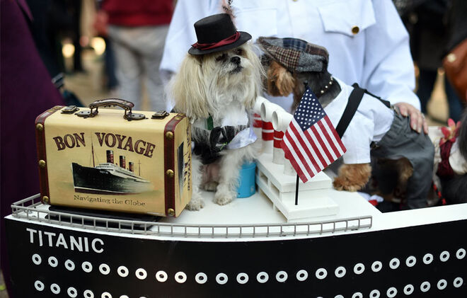 Tompkins Square Halloween Dog Parade 2014
