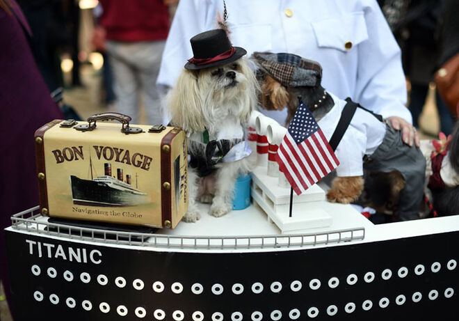 Tompkins Square Halloween Dog Parade 2014