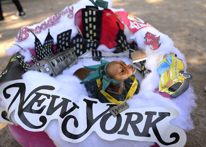 Tompkins Square Halloween Dog Parade 2014
