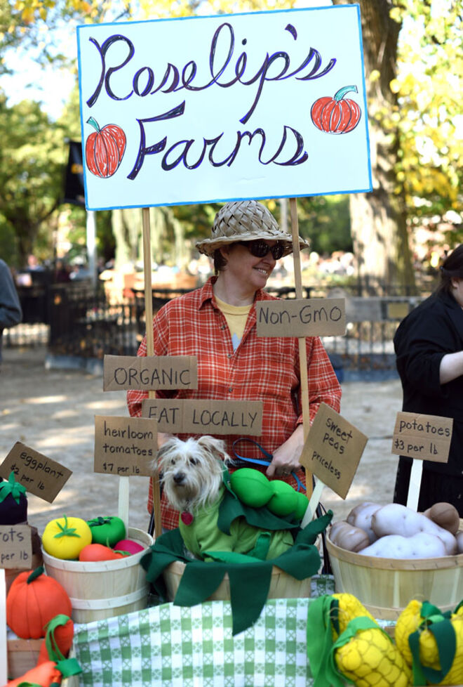 Tompkins Square Halloween Dog Parade 2014