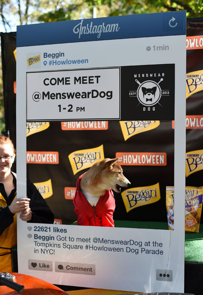 Tompkins Square Halloween Dog Parade 2014