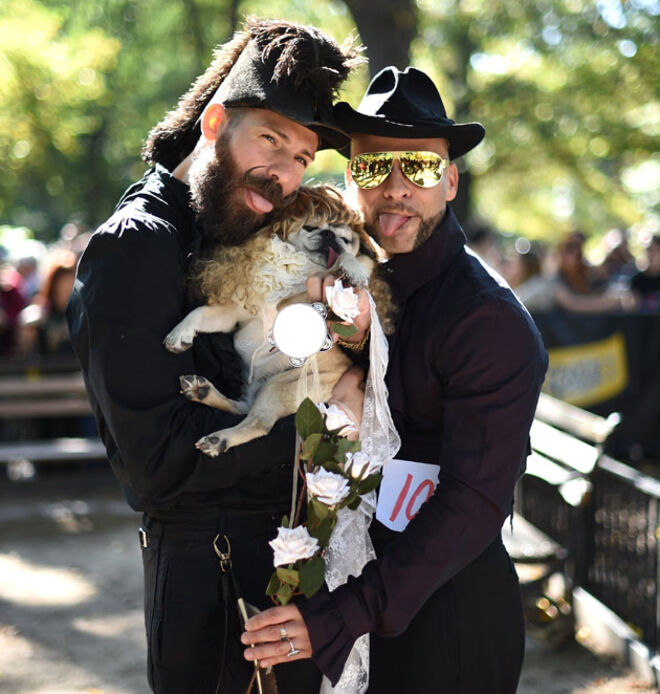 Tompkins Square Halloween Dog Parade 2014