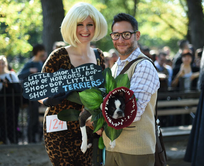 Tompkins Square Halloween Dog Parade 2014
