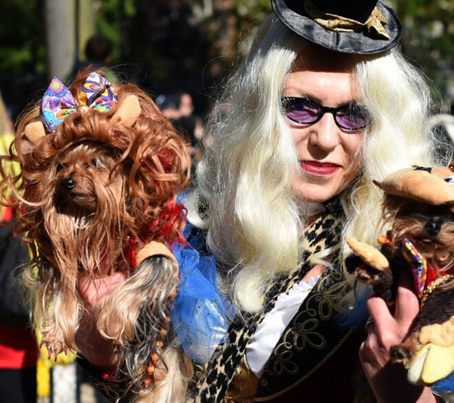 Tompkins Square Halloween Dog Parade 2014