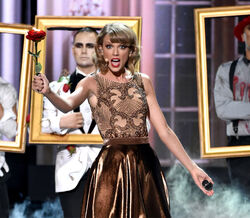 American Music Awards 2014