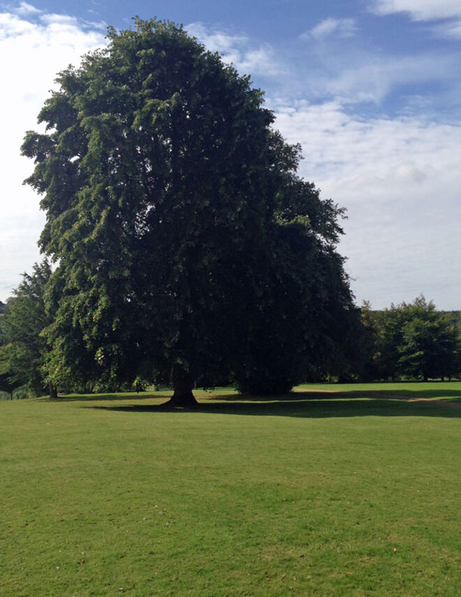 A verdadeira Downton Abbey 