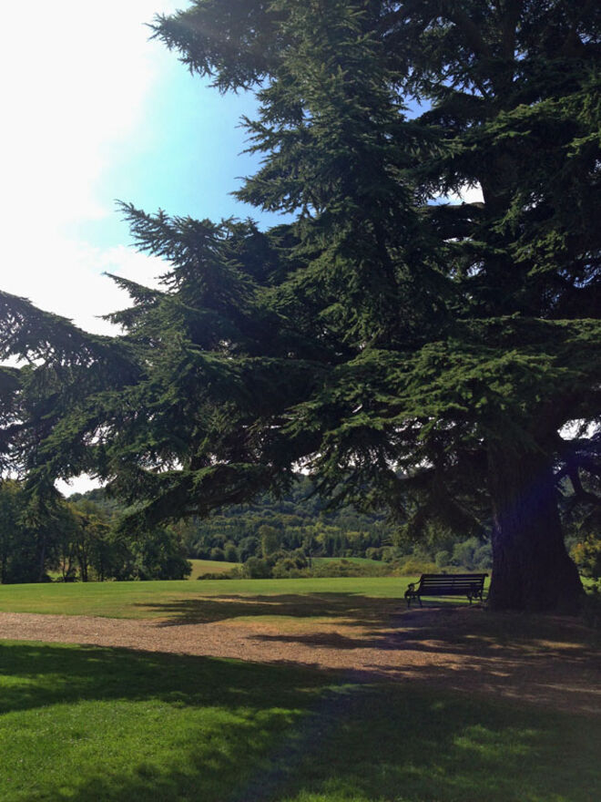 A verdadeira Downton Abbey 