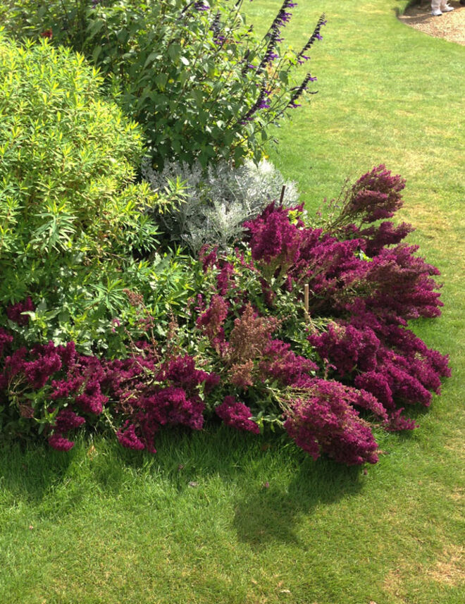 A verdadeira Downton Abbey 