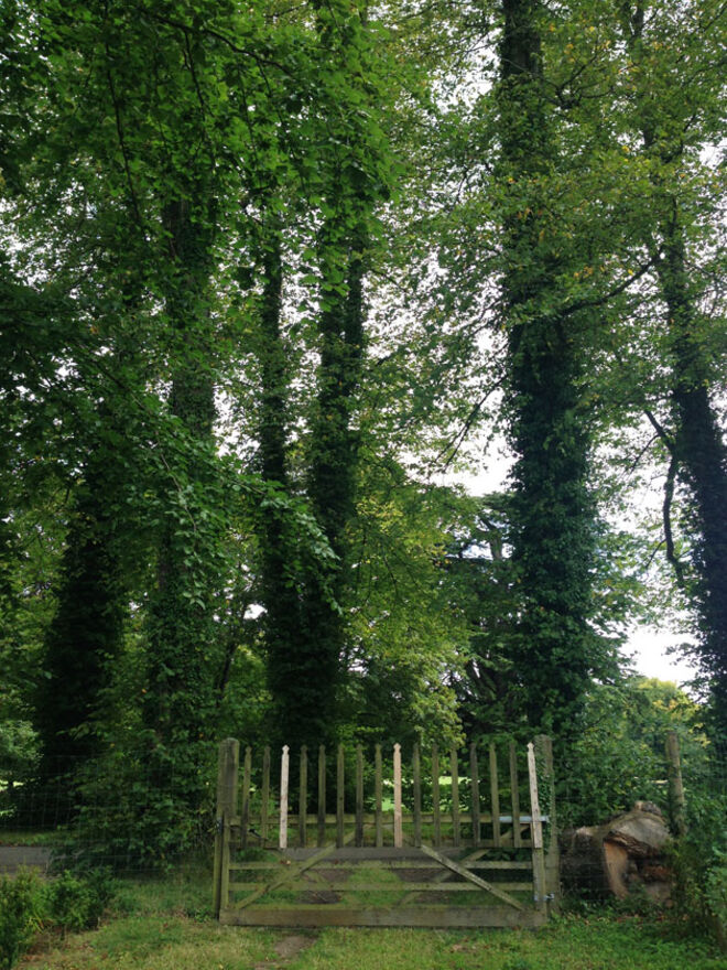 A verdadeira Downton Abbey 