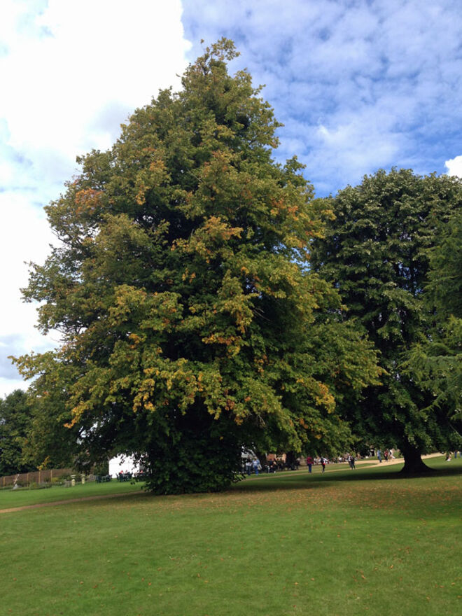 A verdadeira Downton Abbey 