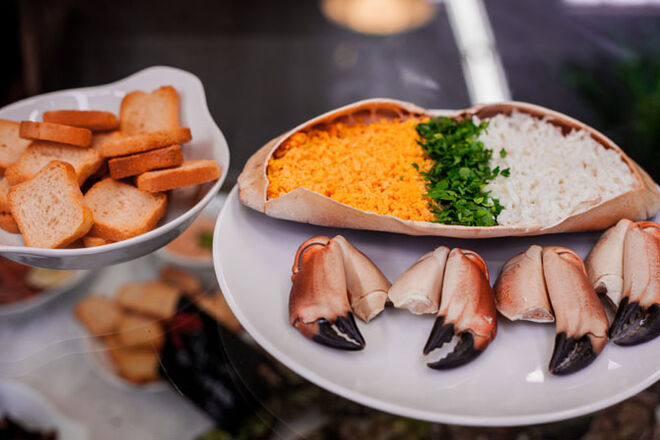 Mercado de Campo de Ourique celebra 1º Aniversário