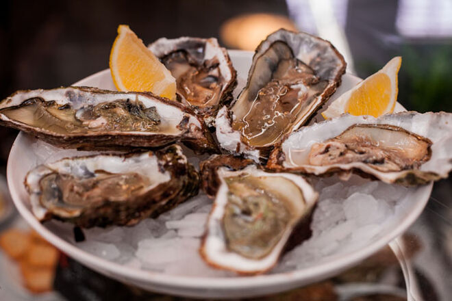 Mercado de Campo de Ourique celebra 1º Aniversário