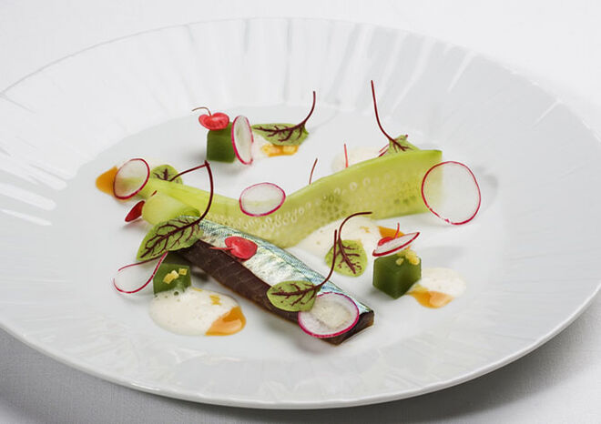 Tenho uma estrela Michelin no meu prato!