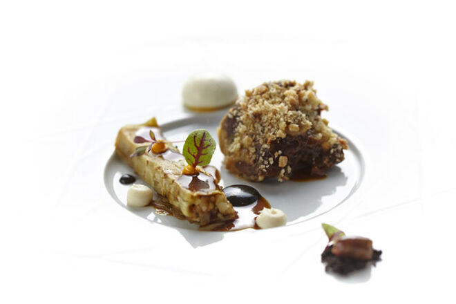 Tenho uma estrela Michelin no meu prato!