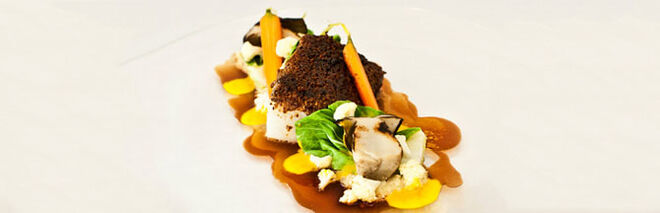 Tenho uma estrela Michelin no meu prato!