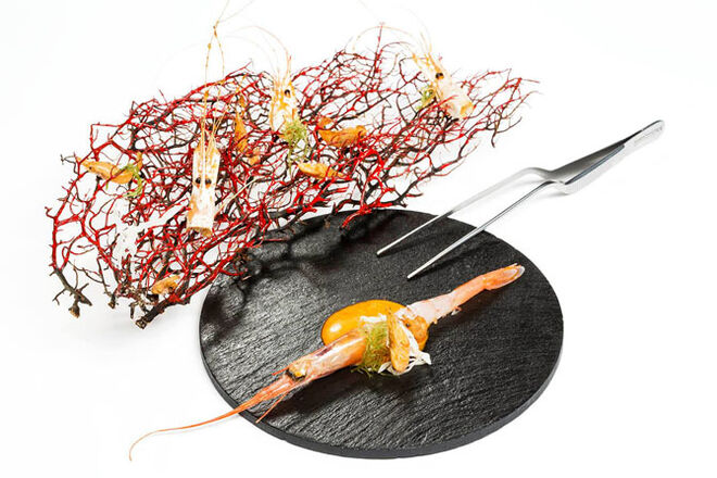 Tenho uma estrela Michelin no meu prato!