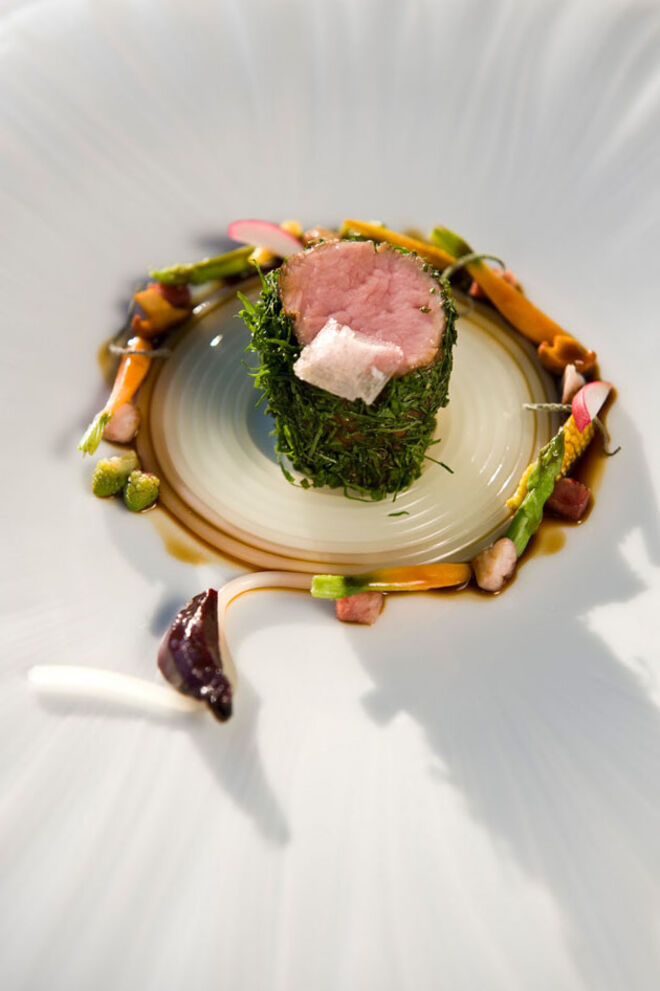 Tenho uma estrela Michelin no meu prato!