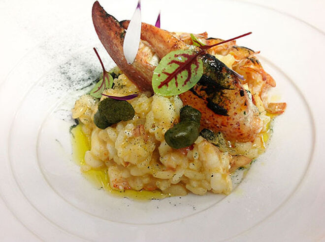 Tenho uma estrela Michelin no meu prato!