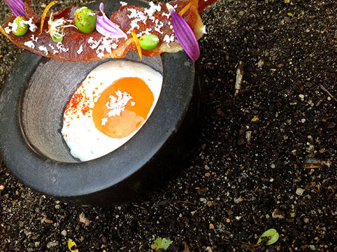 Tenho uma estrela Michelin no meu prato!