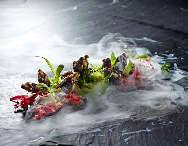 Tenho uma estrela Michelin no meu prato!