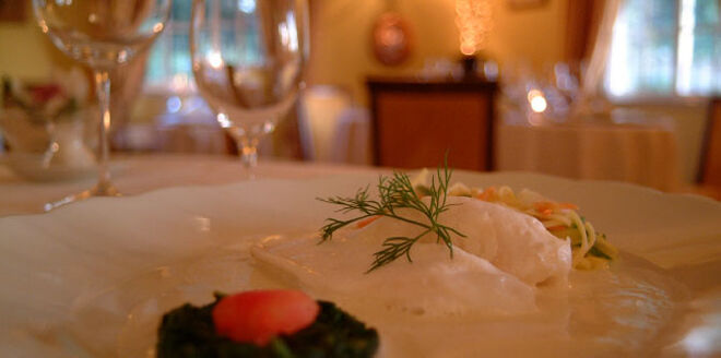 Tenho uma estrela Michelin no meu prato!