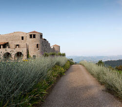 Desafiar a tradição