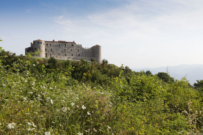 Desafiar a tradição