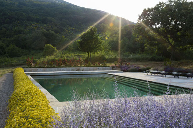 Desafiar a tradição