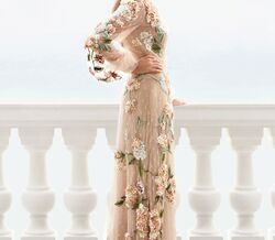 Aerin Lauder