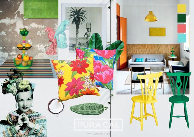 PARATY 2015 | Puracal