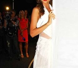 Dry brushing: o segredo de Miranda Kerr