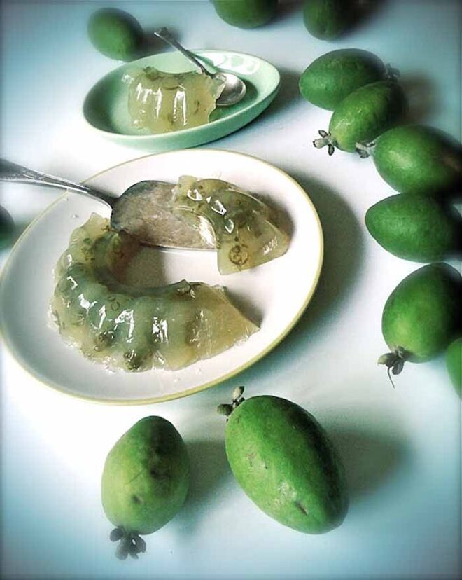 1. Ágar-ágar | Receita por Alessandra Zecchini