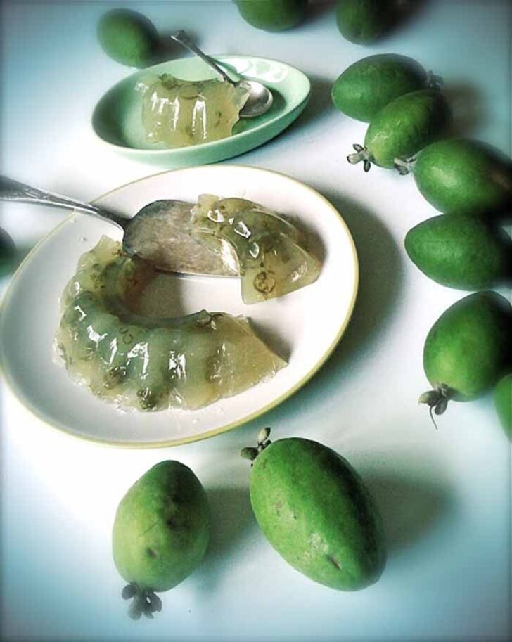 1. Ágar-ágar | Receita por Alessandra Zecchini