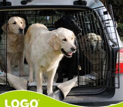 Animais em férias: como os transportar