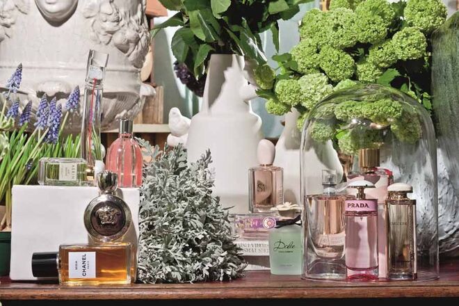 JARDIM DE PRIMAVERA | Flower by Kenzo, l’Eau Originelle, €71,50, Kenzo. Aerin Ikat Jasmine, eau de parfum, €96, Aerin Lauder. See by Chloé Belle, eau de parfum, €69,73, Chloé. Eros pour femme, eau de parfum, €89,50, Versace. Misia, eau de parfum, €133, Chanel. Sí, eau de toilette, €97, Giorgio Armani. Fleur de Figuier, eau de parfum, €49, Roger&Gallet. Dolce Floral Drops, €79, Dolce & Gabbana. La Vie est Belle, l’eau de toilette, €58,15, Lancôme. Candy Florale, eau de toilette, €69,20, Prada. CH África Women, eau de toilette, €95,53, Carolina Herrera. Emozione, eau de parfum, €84, Salvatore Ferragamo.